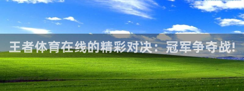 劲爆体育直播观看：王者体育在线的精彩对决：冠军争夺战!