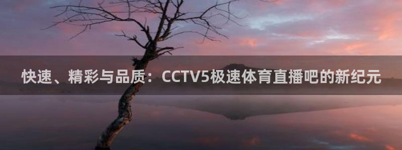 劲爆体育无插件直播：快速、精彩与品质：CCTV5极速体育直播吧的新纪元