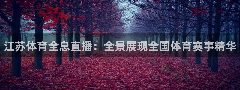 劲爆体育在线直播nba直播：江苏体育全息直播：全景展现全国体育赛事精华