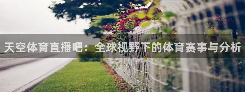 上海劲爆体育频道直播：天空体育直播吧：全球视野下的体育赛事与分析