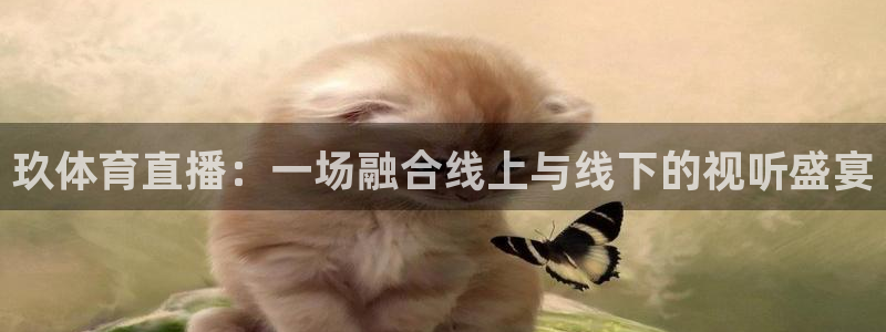 劲爆体育频道在线观看免费：玖体育直播：一场融合线上与线下的视听盛宴