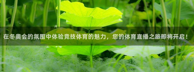 劲爆体育nba直播视频免费观看：在冬奥会的氛围中体验竞技体育的魅力，您的体育直播之旅即将开启！
