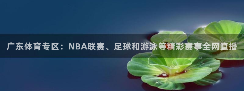劲爆体育高清直播：广东体育专区：NBA联赛、足球和游泳等精彩赛事全网直播