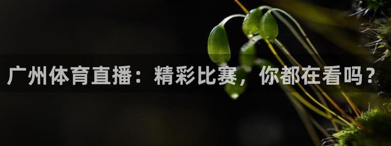 劲爆体育在线直播nba直播：广州体育直播：精彩比赛，你都在看吗？