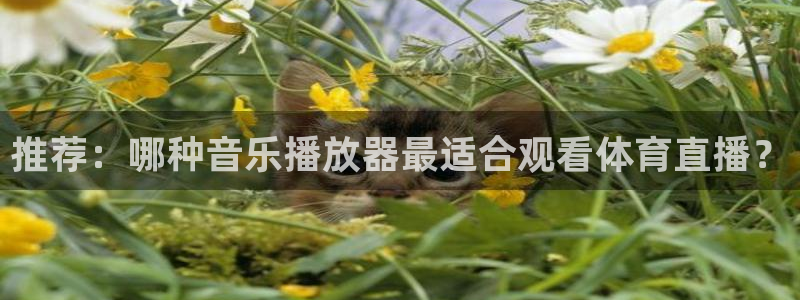 劲爆体育nba现场直播：推荐：哪种音乐播放器最适合观看体育直播？