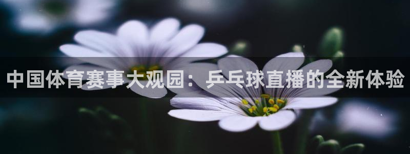 劲爆体育高清直播回看